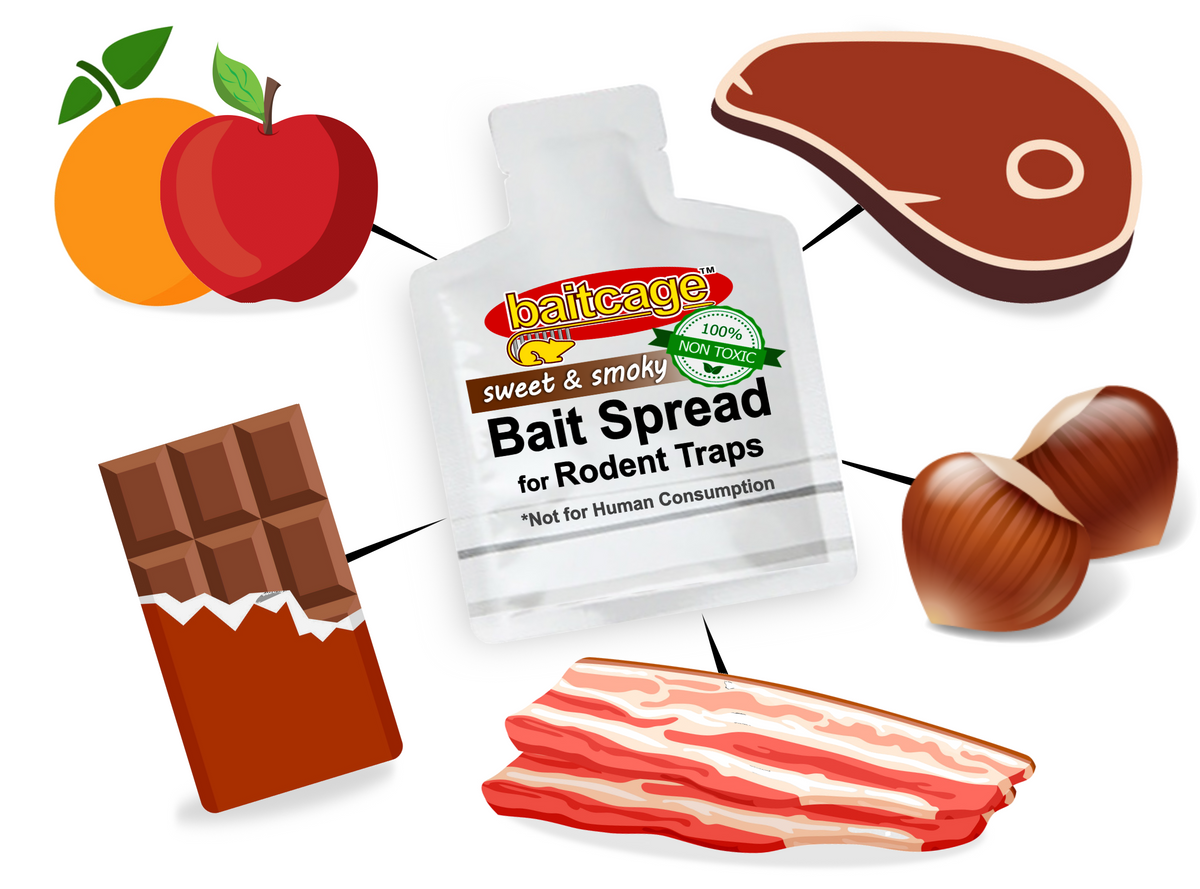 Bait Cage Bait Spread for Rodent Traps 4 PACK