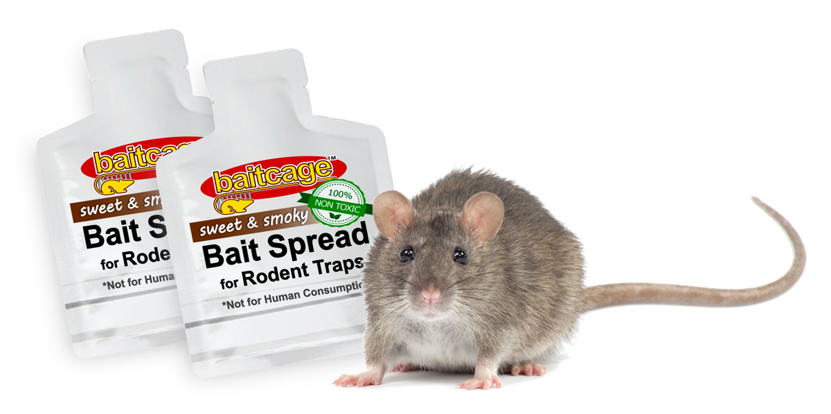 The Best Bait for Rat Traps: Top Choice for Effective Rodent Control