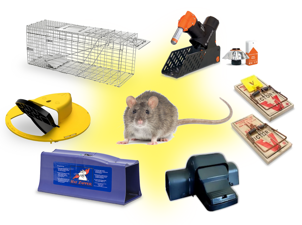 Pest Control Traps - Rat Traps Set of 4 Best Humane Kill Rodent