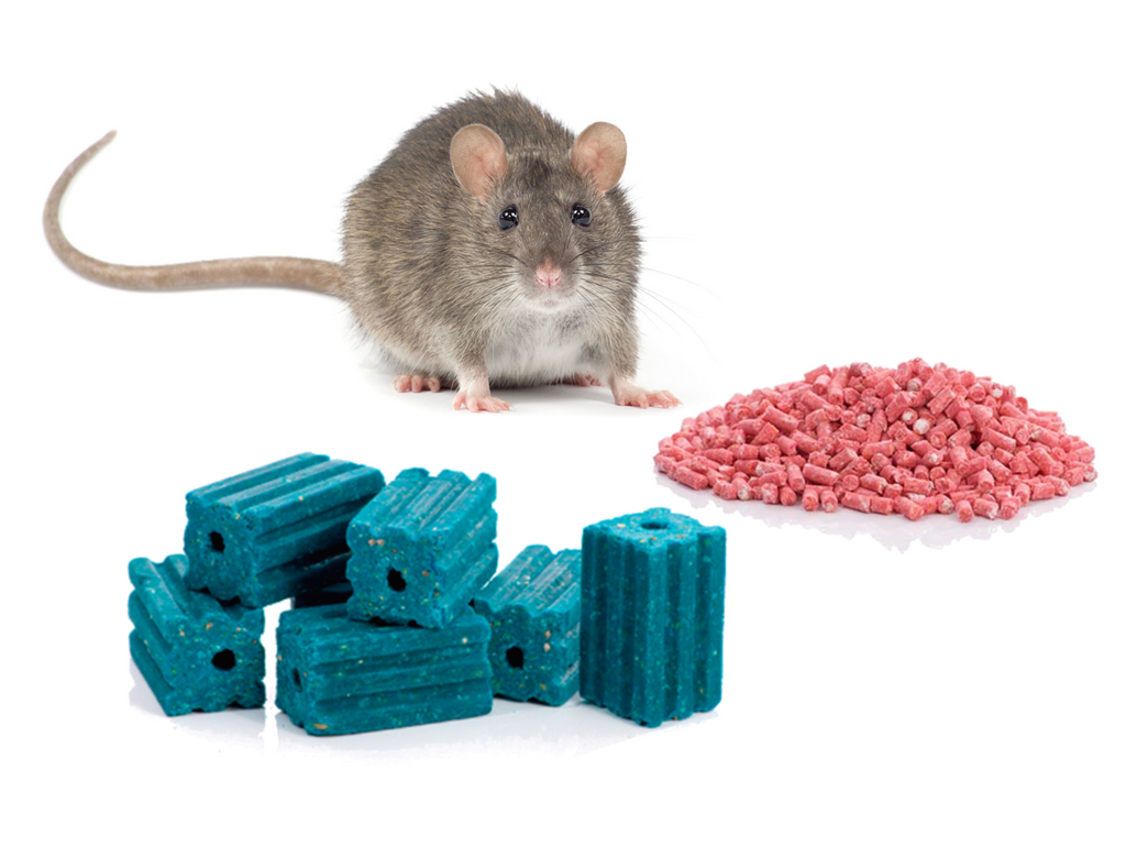 What About Rat Poison?  There is a Better Bait Solution – Bait Cage